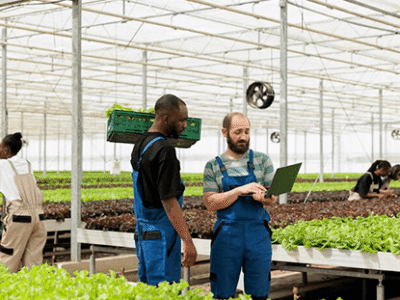 Bushel Measurement Platform