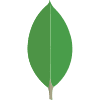 MongoDB logo